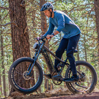 Veltrion