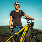 Veltrion